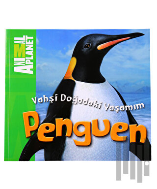 Vahşi Doğadaki Yaşamım: Penguen | Kitap Ambarı