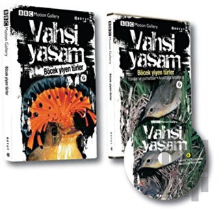 Vahşi Yaşam 2 - Böcek Yiyen Türler | Kitap Ambarı