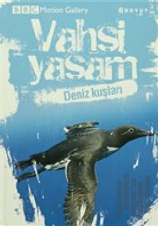 Vahşi Yaşam-Deniz Kuşları (Ciltli) | Kitap Ambarı