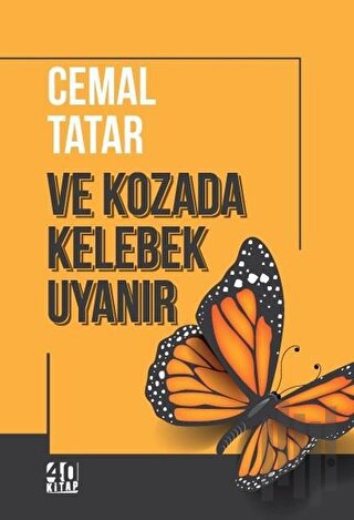 Ve Kozada Kelebek Uyanır | Kitap Ambarı