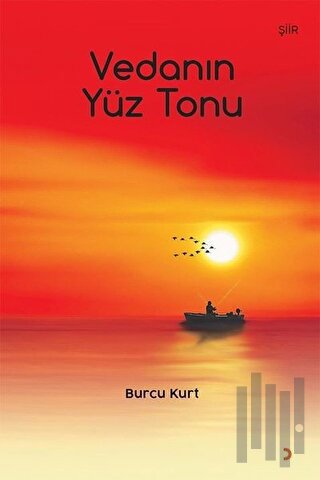 Vedanın Yüz Tonu | Kitap Ambarı