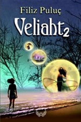 Veliaht 2 - Ciltsiz | Kitap Ambarı