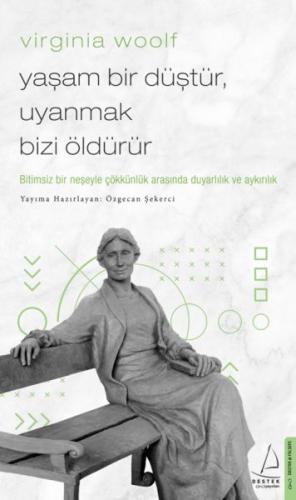 Virginia Woolf - Yaşam Bir Düştür, Uyanmak Bizi Öldürür | Kitap Ambarı