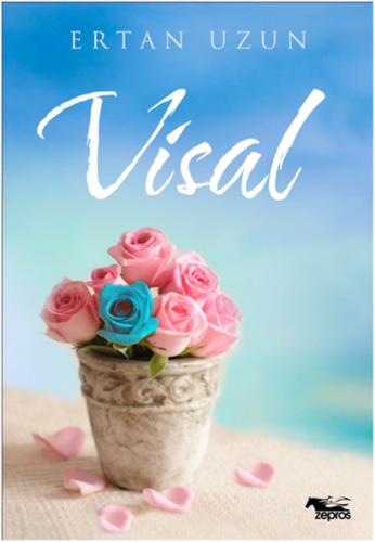 Visal | Kitap Ambarı