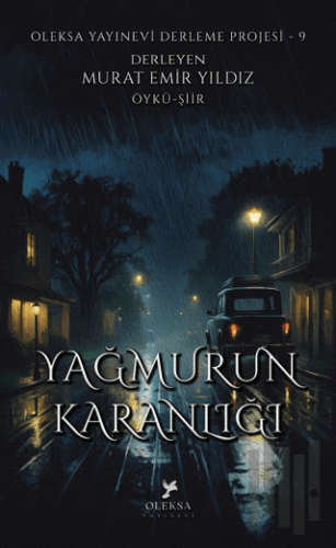 Yağmurun Karanlığı | Kitap Ambarı