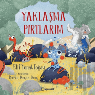 Yaklaşma Pırtlarım | Kitap Ambarı