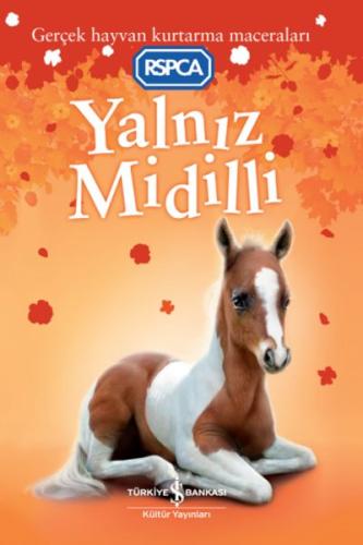 Yalnız Midilli | Kitap Ambarı