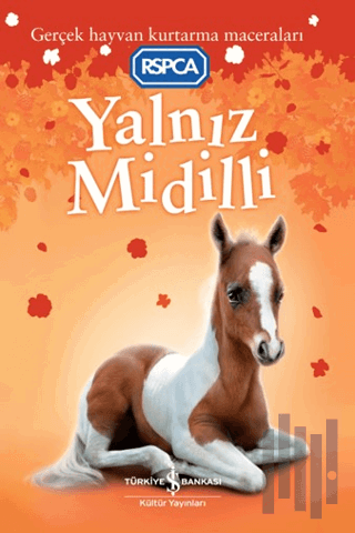 Yalnız Midilli | Kitap Ambarı