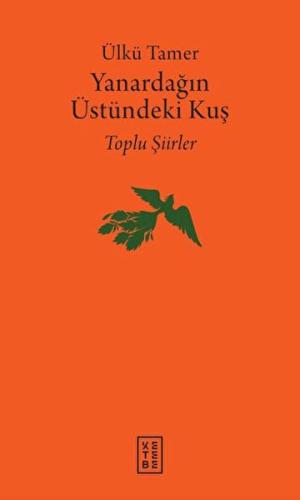 Yanardağın Üstündeki Kuş | Kitap Ambarı