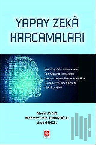 Yapay Zeka Harcamaları | Kitap Ambarı