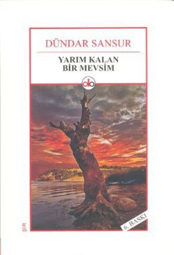 Yarım Kalan Bir Mevsim | Kitap Ambarı