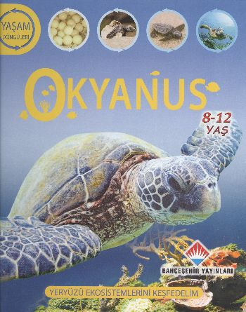 Yaşam Döngüsü - Okyanus (8-12 Yaş) | Kitap Ambarı