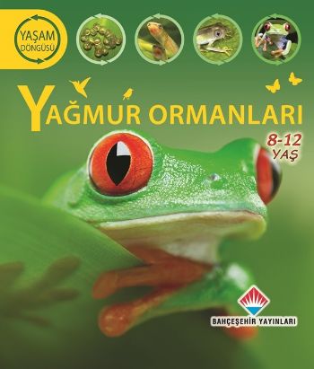 Yaşam Döngüsü - Yağmur Ormanları (8-12 Ages) | Kitap Ambarı