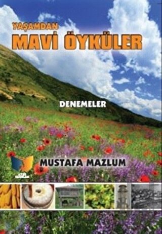 Yaşamdan Mavi Öyküler | Kitap Ambarı