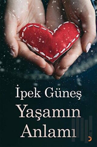 Yaşamın Anlamı | Kitap Ambarı