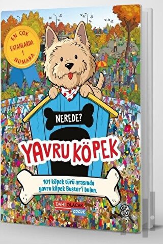 Yavru Köpek Nerede? | Kitap Ambarı