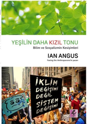 Yeşilin Daha Kızıl Tonu | Kitap Ambarı