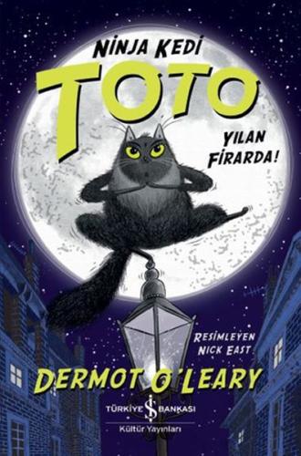 Ninja Kedi Toto - Yılan Firarda | Kitap Ambarı