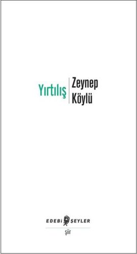 Yırtılış | Kitap Ambarı