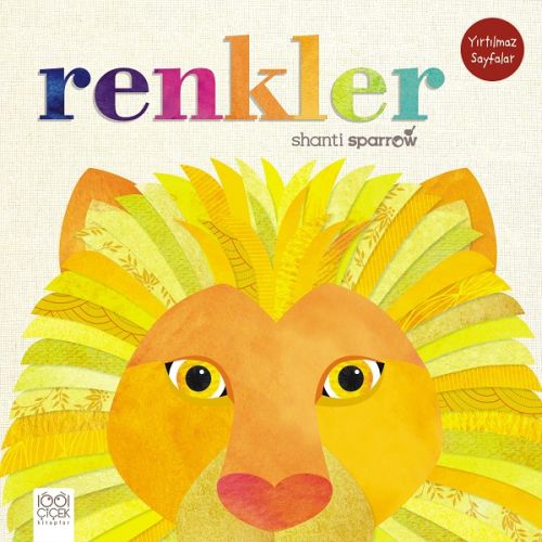 Renkler | Kitap Ambarı