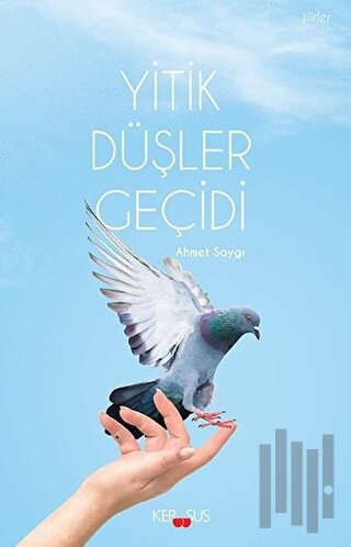 Yitik Düşler Geçidi | Kitap Ambarı