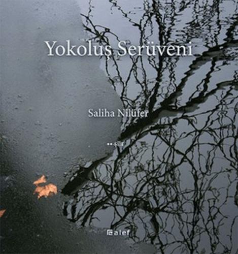 Yokoluş Serüveni | Kitap Ambarı