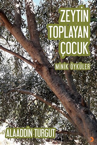 Zeytin Toplayan Çocuk | Kitap Ambarı