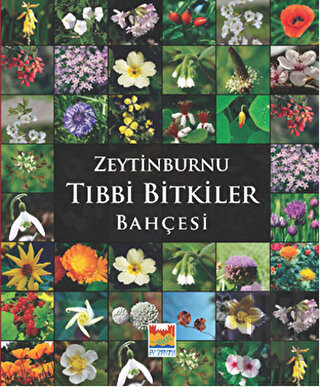 Zeytinburnu Tıbbi Bitkiler Bahçesi (Ciltli) | Kitap Ambarı