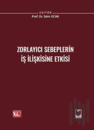 Zorlayıcı Sebeplerin İş İlişkisine Etkisi (Ciltli) | Kitap Ambarı